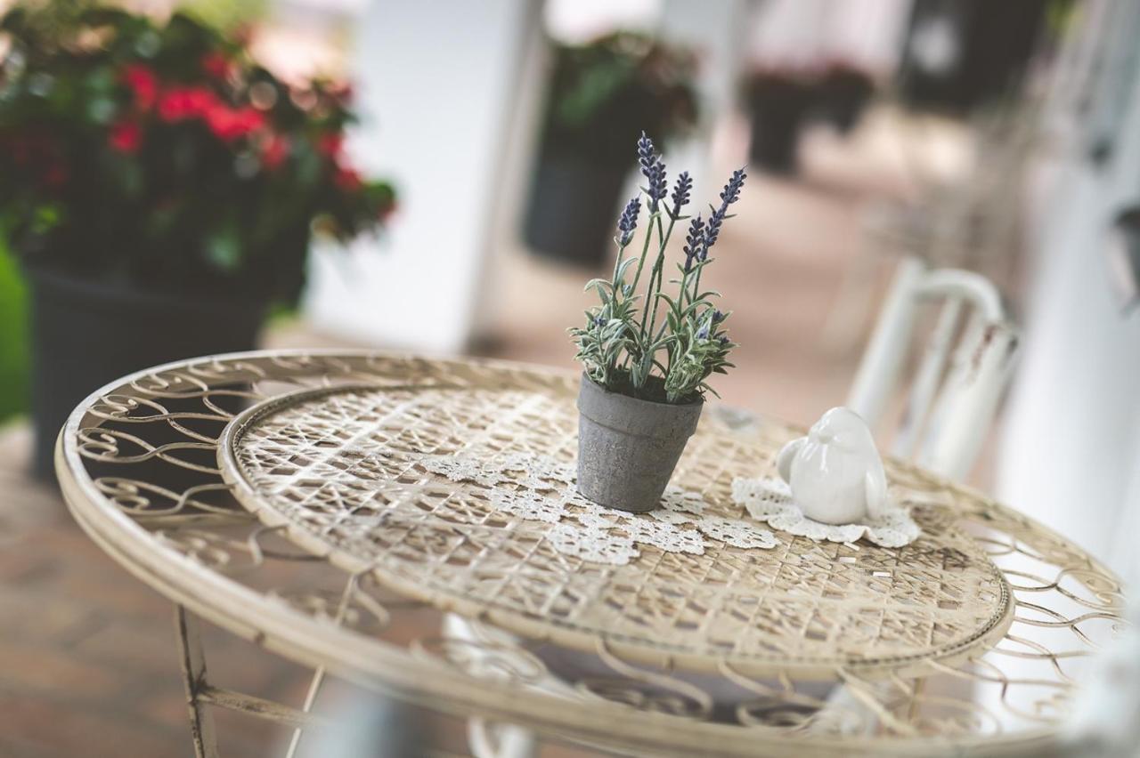 Palkonyha Panzio Speiz Gasztromuhely Bed & Breakfast Palkonya Ngoại thất bức ảnh