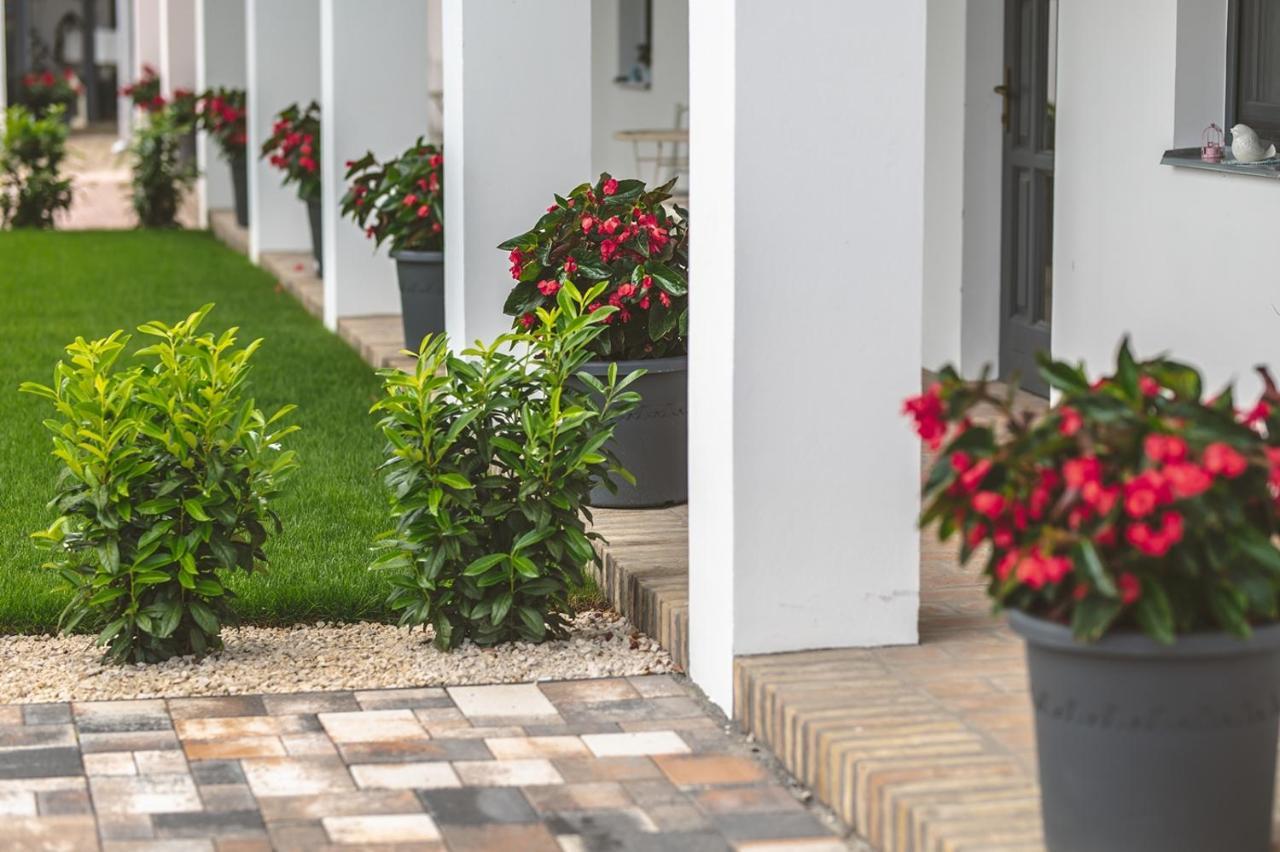 Palkonyha Panzio Speiz Gasztromuhely Bed & Breakfast Palkonya Ngoại thất bức ảnh
